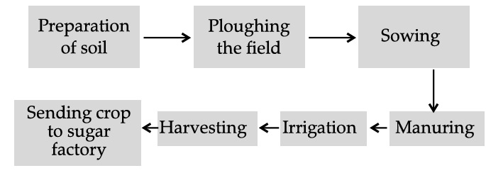 NCERT Solutions for Class 8 Science Chapter 1 Crop Production and Management - 2