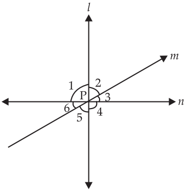 case study based questions class 10 maths