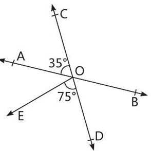 case study about math