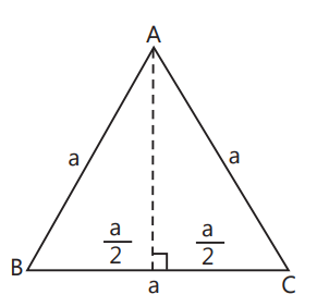 case study of chapter 2 maths class 9