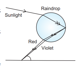 The Colourful World CBSE Class 10 Science - 3