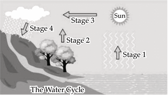 A Journey Through States of Water Class 6 Case Study Questions Science Curiosity Chapter 8 - 1