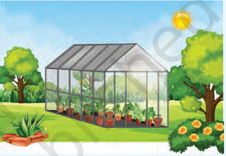 Curiosity Class 8 Science Chapter 13 Our Home: Earth, a Unique Life Sustaining Planet Case Study Questions-3