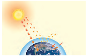 Curiosity Class 8 Science Chapter 13 Our Home: Earth, a Unique Life Sustaining Planet Case Study Questions-1